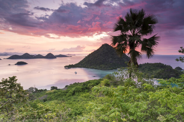 OPEN TRIP LABUAN BAJO KOMODO 4D3N - Image 4