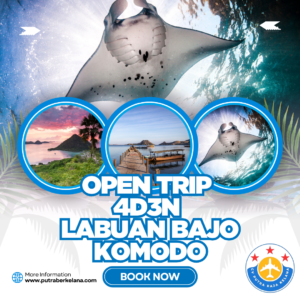 OPEN TRIP LABUAN BAJO KOMODO 4D3N